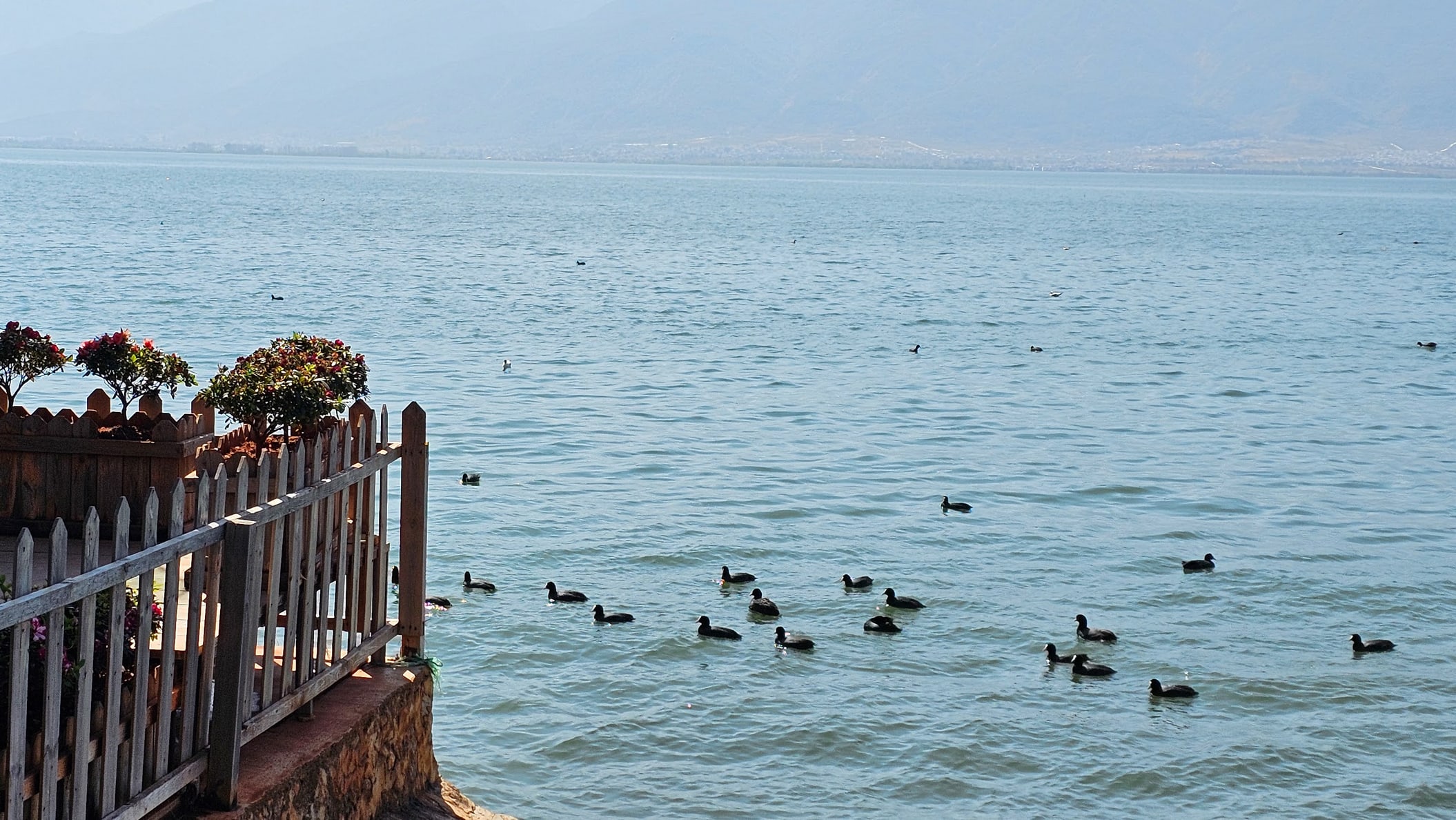 Slow down beside Erhai Lake and discover peaceful Yunnan landscapes