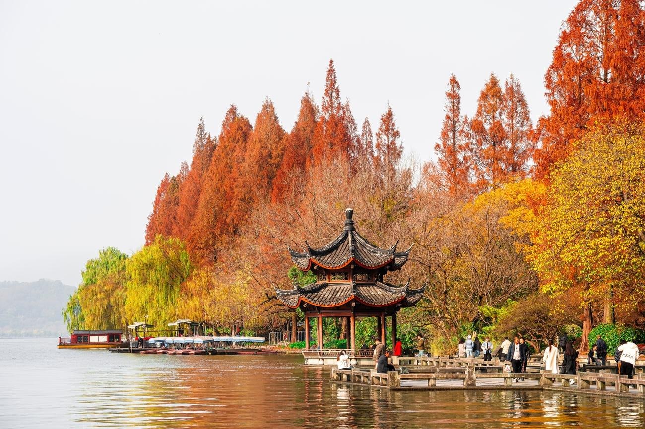 Enjoy West Lake framed by golden autumn foliage and calm waters