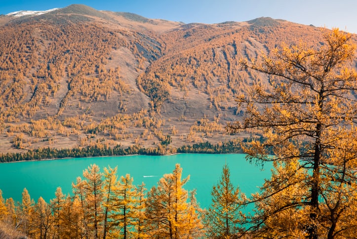 Where alpine waters meet forests, mountains and endless horizons