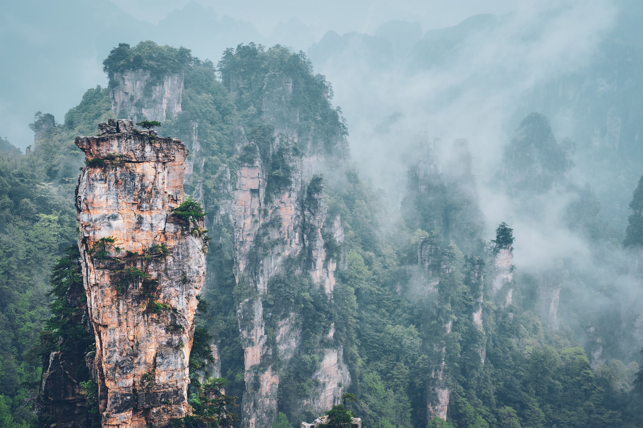 Watch mist drift through towering Zhangjiajie mountain landscapes.