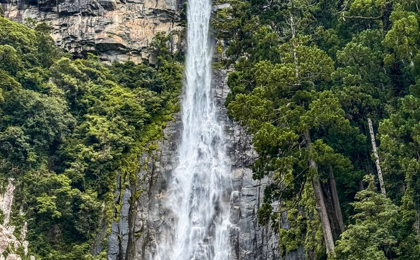 Nachi Waterfall in Kumano, Japan, cascading down surrounded by lush greenery.