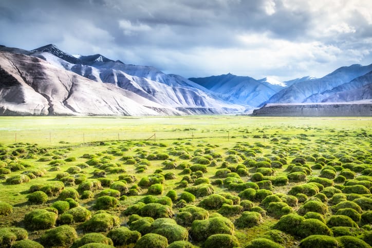Journey beyond the ordinary into vast mountain country