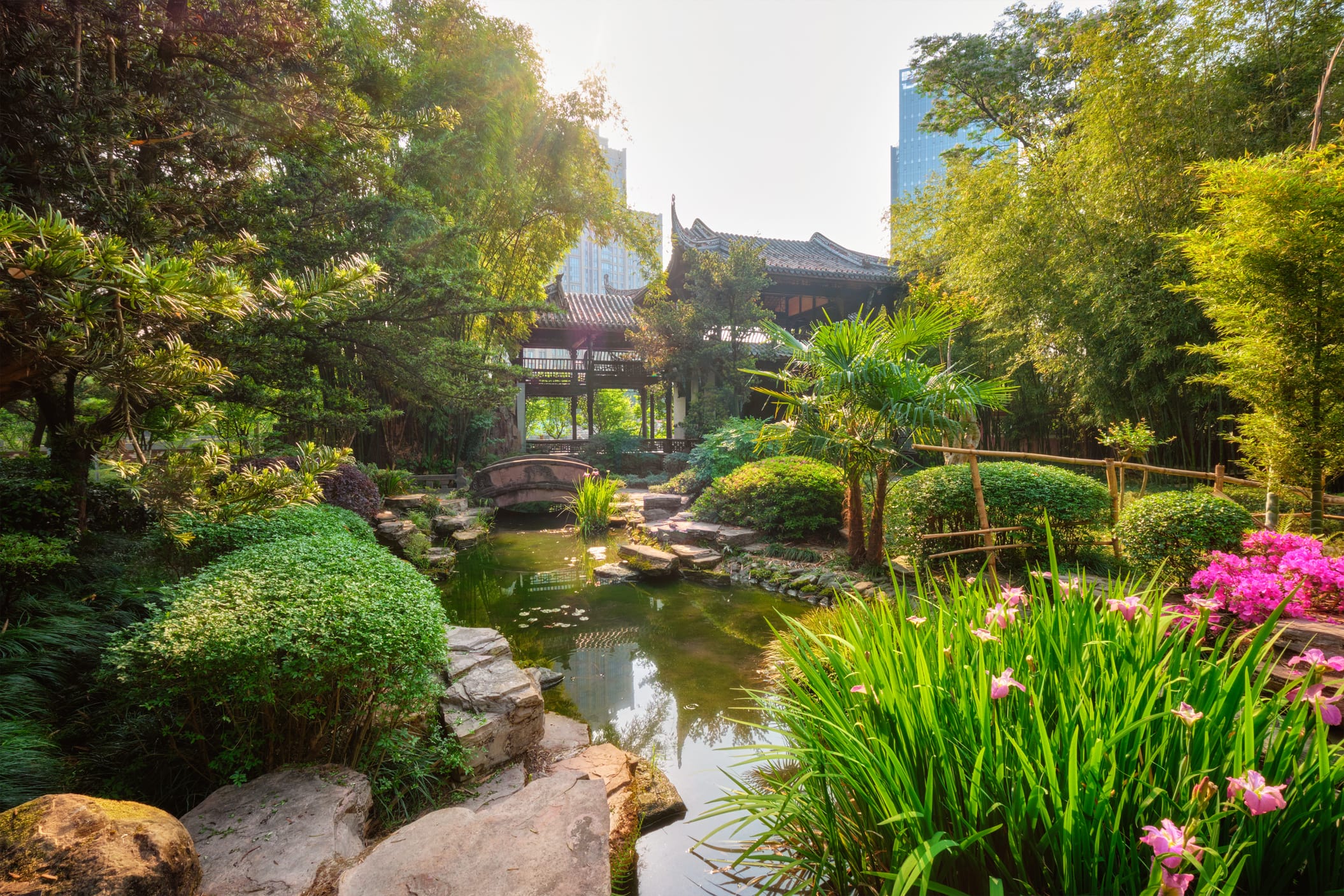 Explore Chengdu, where vibrant culture meets everyday local charm