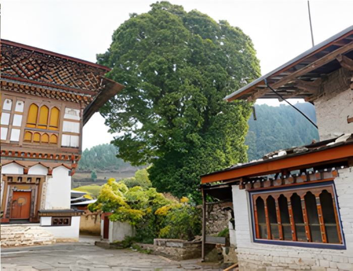 Ogyen Choling Heritage House, traditional Bhutanese mansion in Bumthang, Bhutan