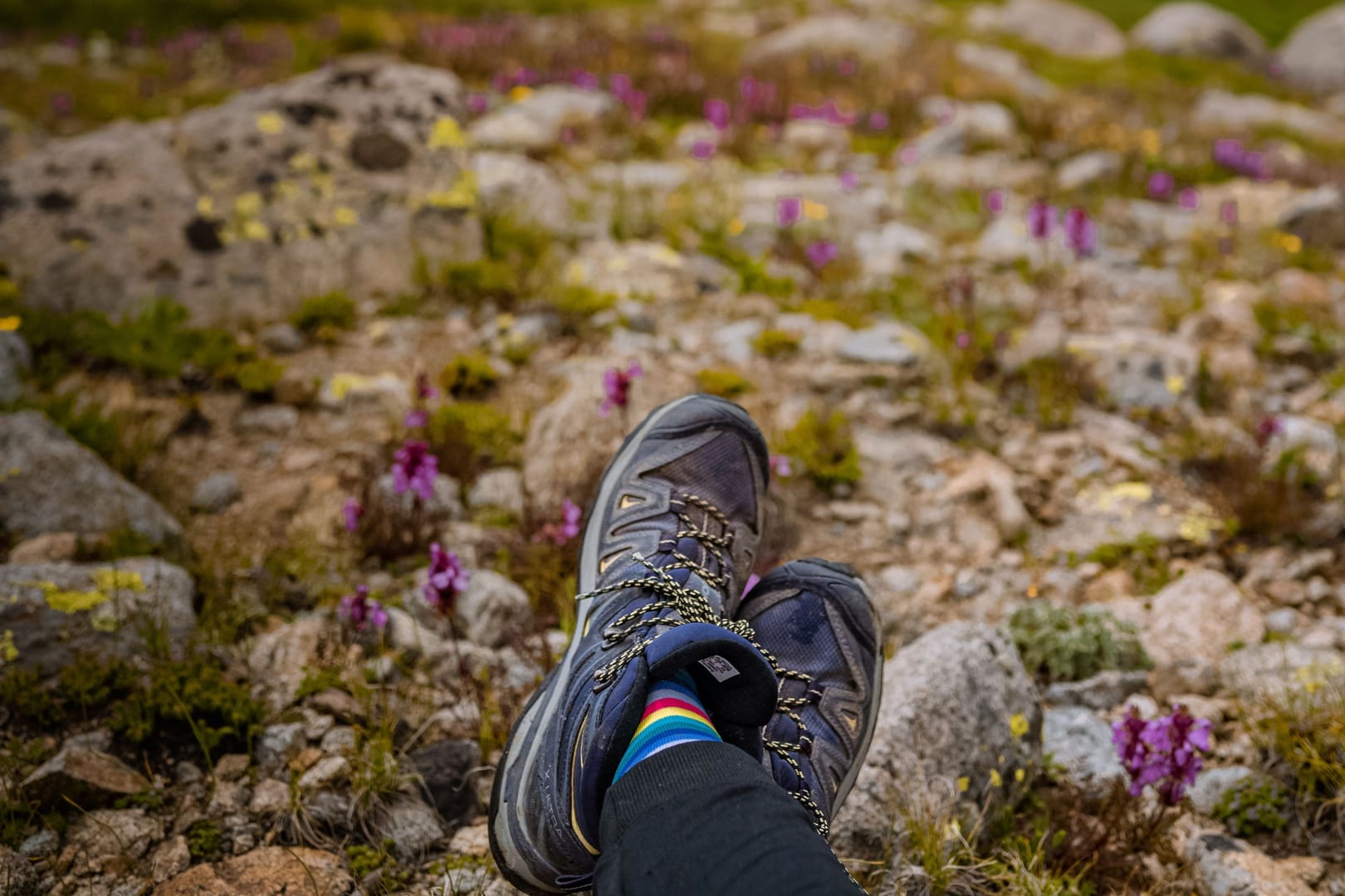 Hiking Boots Skardu