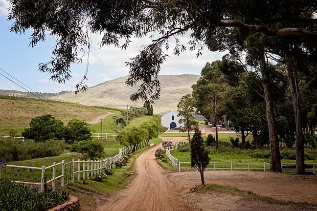 Hermel-en-Aarde Wine Valley