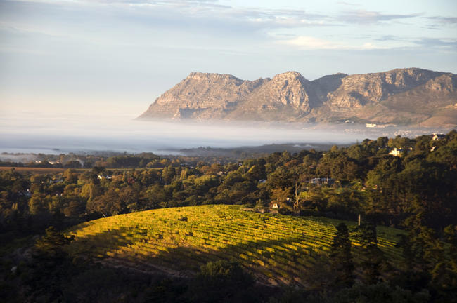 Franschhoek Valley, Cape Winelands, South Africa