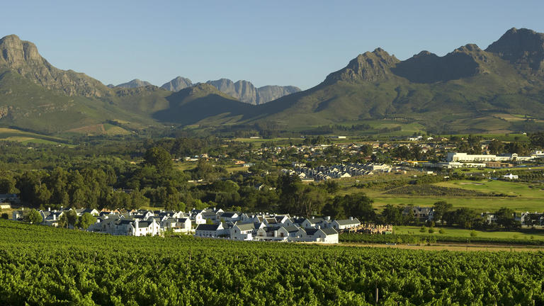Stellenbosch Wine Region, Cape Winelands, South Africa