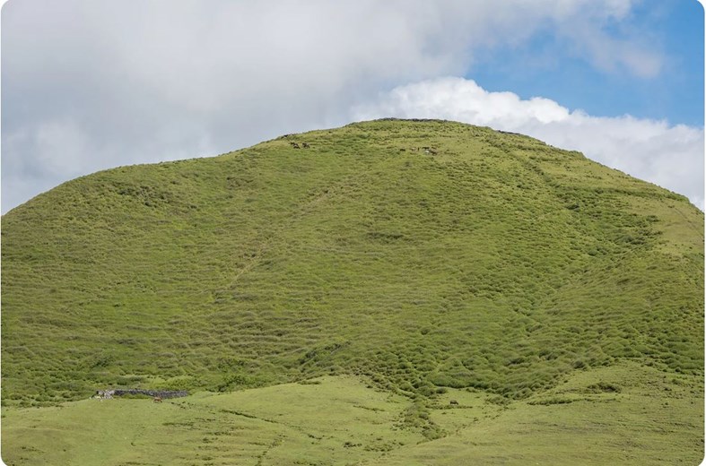 Aileu green mountain, Timor Leste