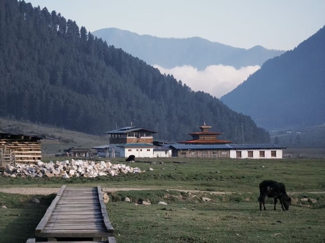 Gangtey Views