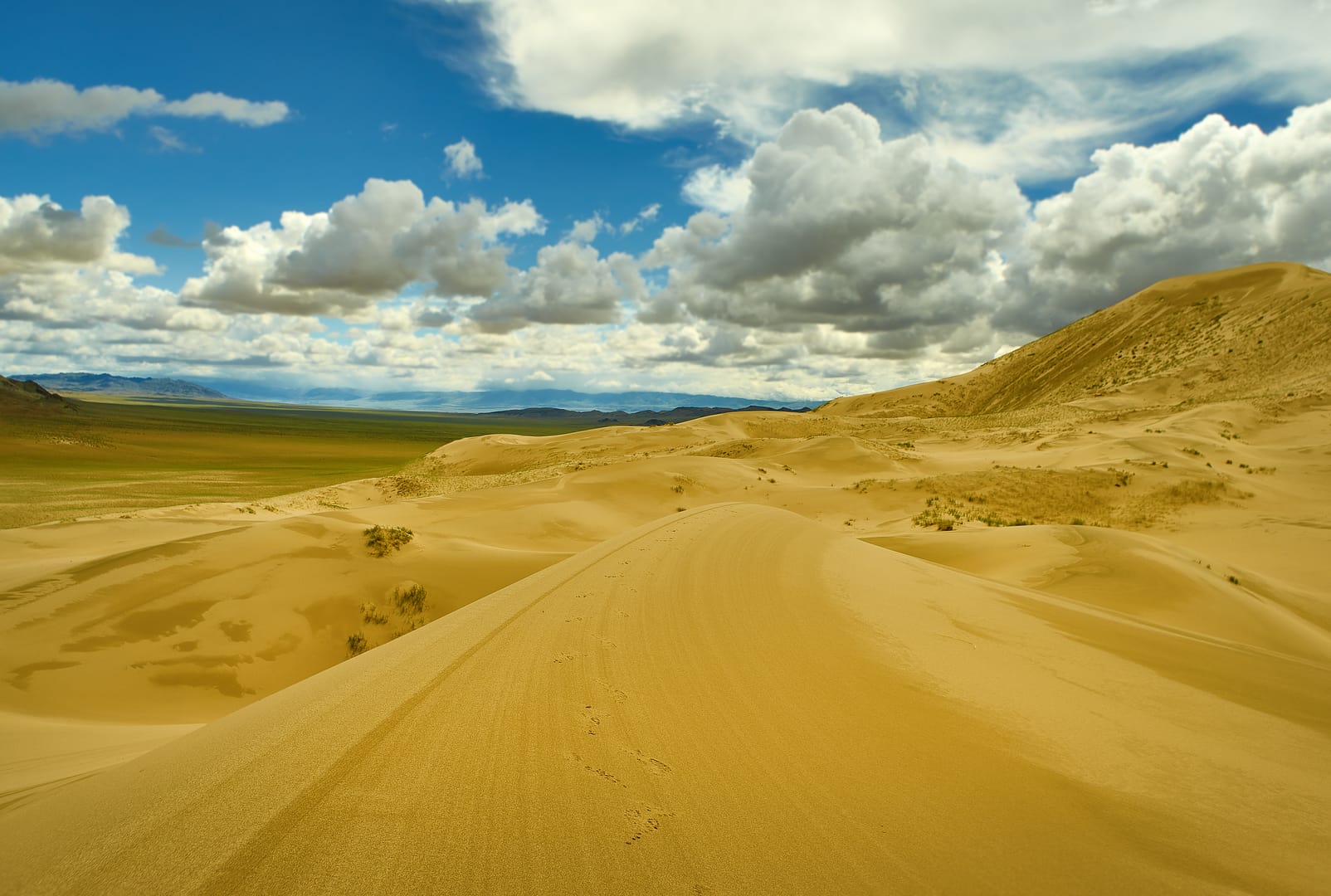 Mongol Els Revealing Golden Dunes Beneath The Endless Mongolian Sky