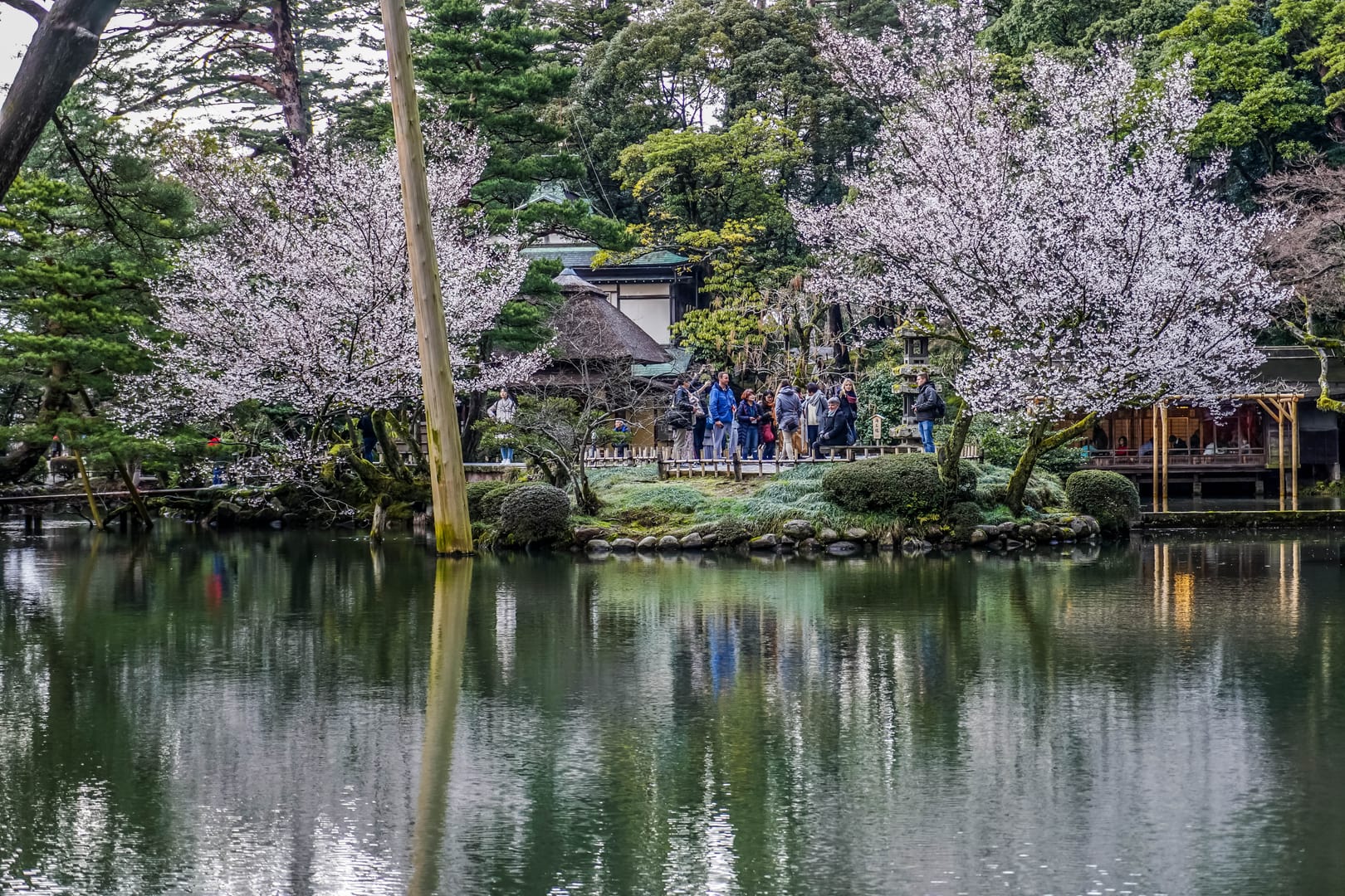 Kenrokuen Garden Showcasing Seasonal Beauty In Kanazawa